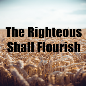 The Righteous Shall Flourish